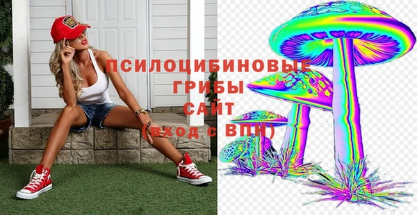 ешки Белоозёрский