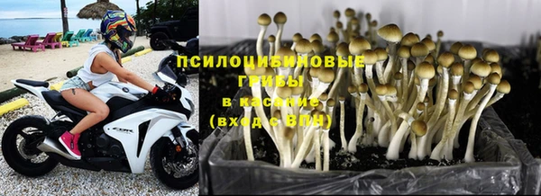 мяу мяу мука Беломорск