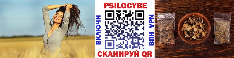 Галлюциногенные грибы прущие грибы  продажа наркотиков  сайты даркнета телеграм  Кстово 
