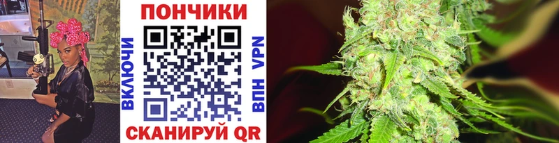 Конопля MAZAR  где продают наркотики  Кстово 